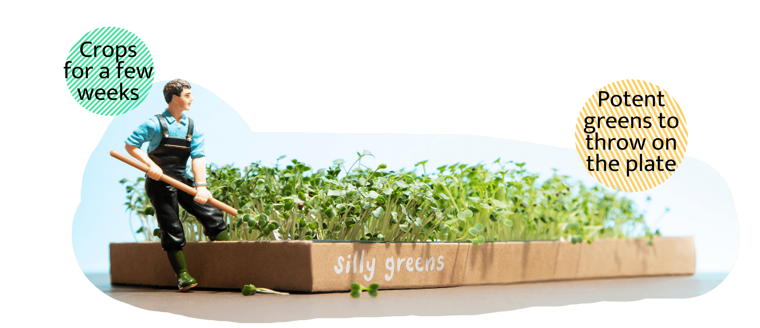 Micro Green living grow box