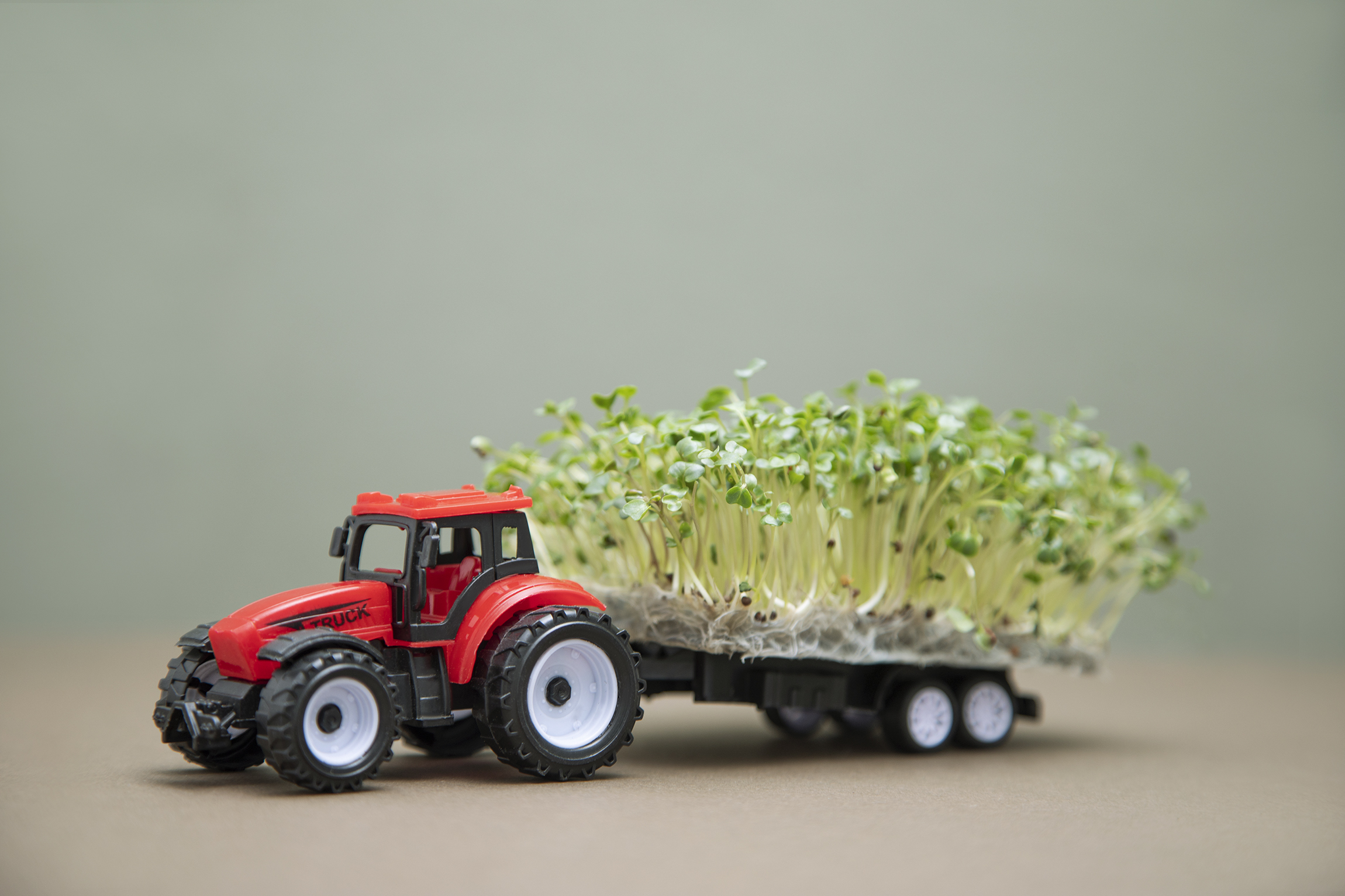 Living Microgreens